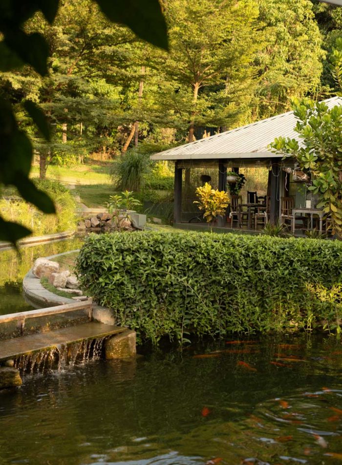 Lush green gardens at Oleander Farms in Karjat
