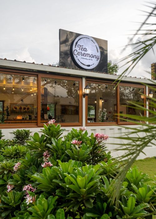 Tea Tasting Experience in Karjat