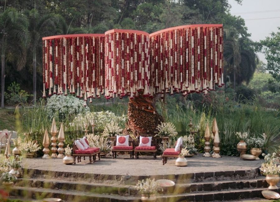 Scenic hilltop surrounded by untouched nature