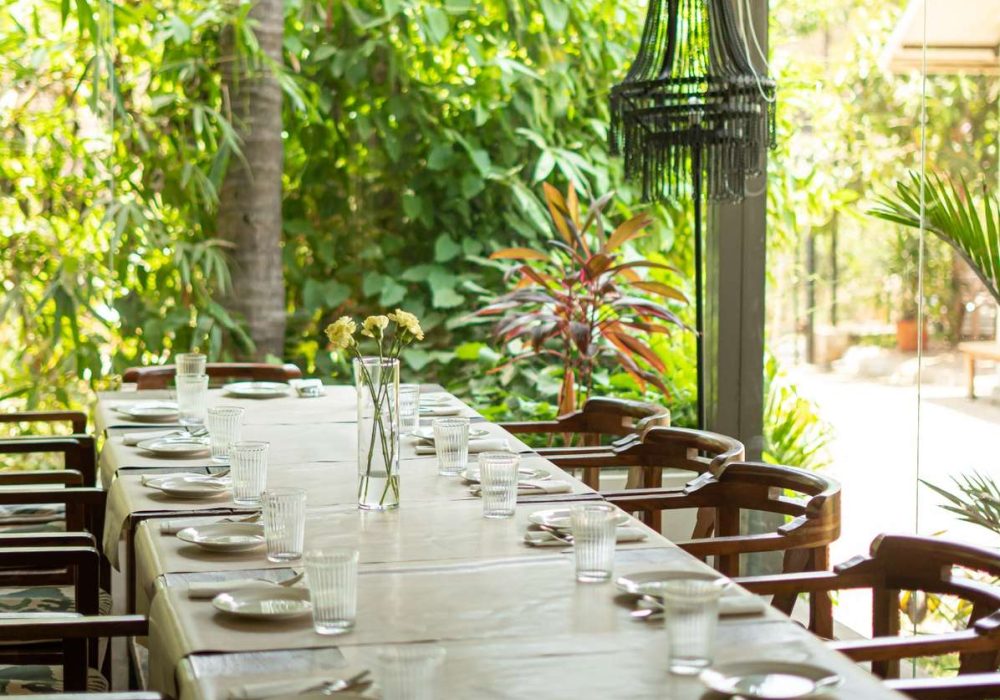 Outdoor dining experience at Oleander Farms