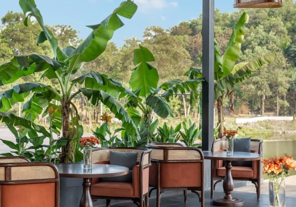 Peaceful nature retreat surrounded by plants and trees