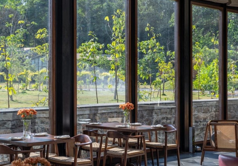Peaceful nature retreat surrounded by plants and trees