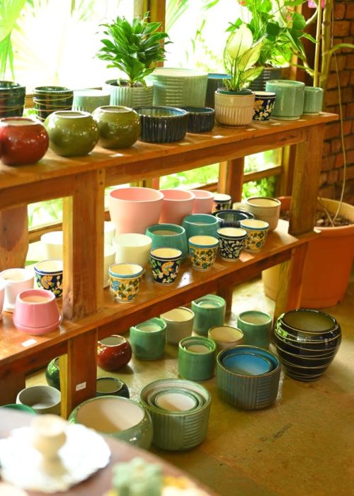 Scenic garden view with vibrant greenery