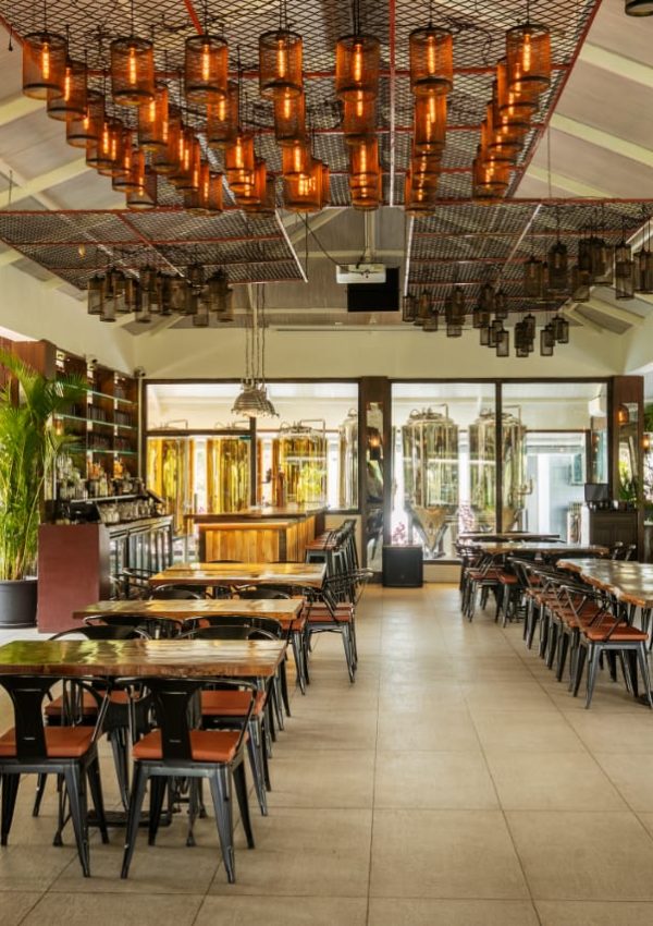 Artistic décor inside Common House, Oleander Farms