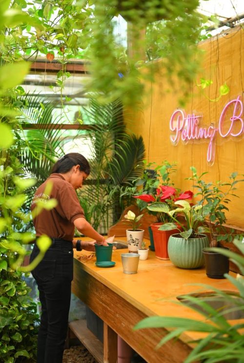 entertainment Large D.I.Y Plant Potting Bar in Karjat