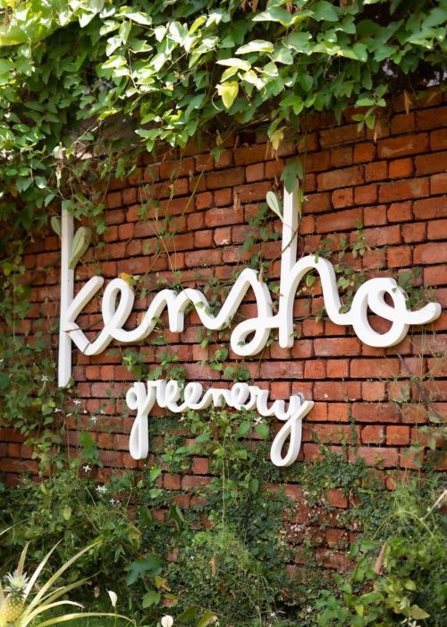 Nature trail surrounded by trees and plants