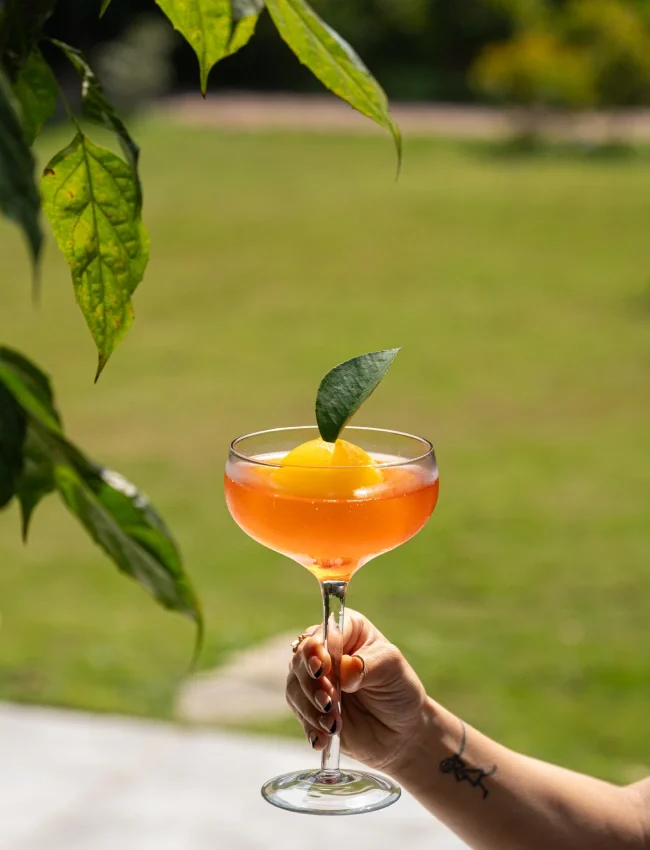 oleander Farms Karjat (3)