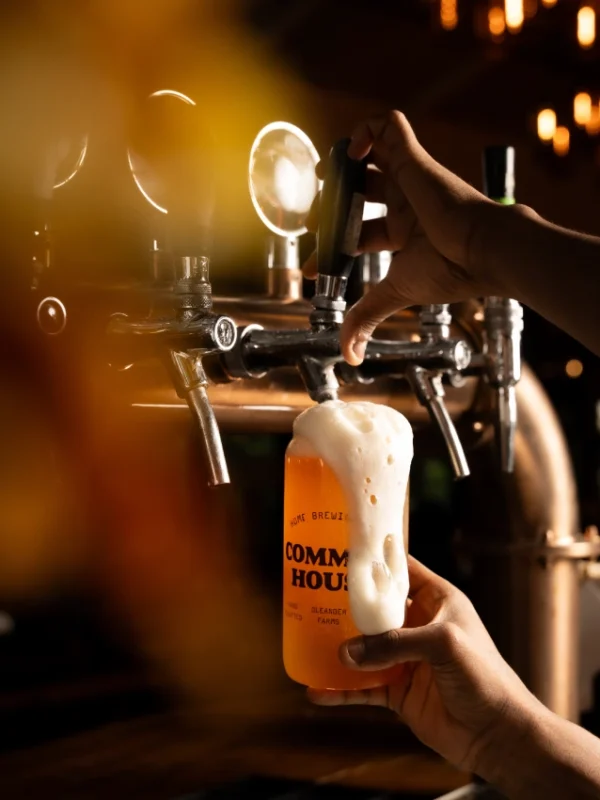 oleander Farms Karjat common house(2)